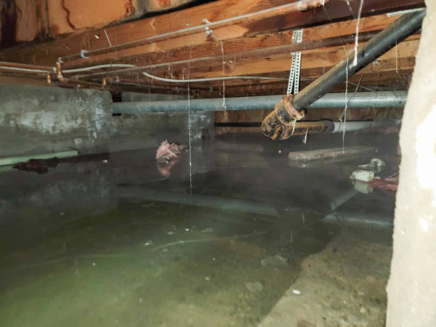Best Commercial water damage restoration  in Byram, MS