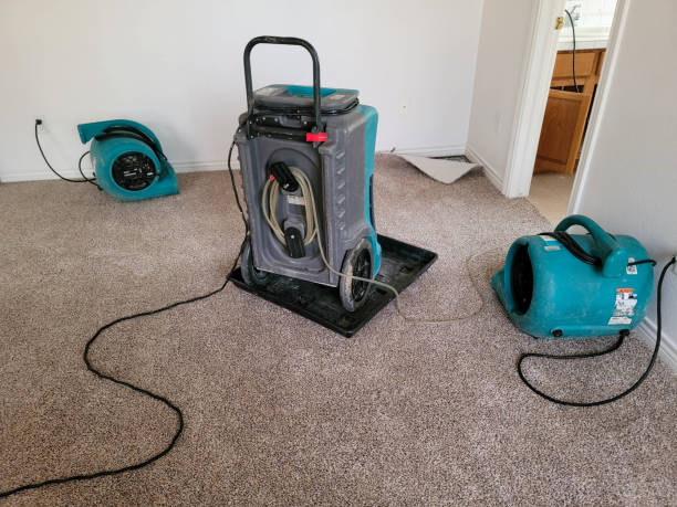 Best Flood restoration services  in Byram, MS