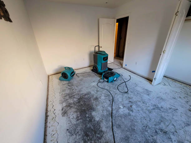  Byram, MS Water damage restoration Pros