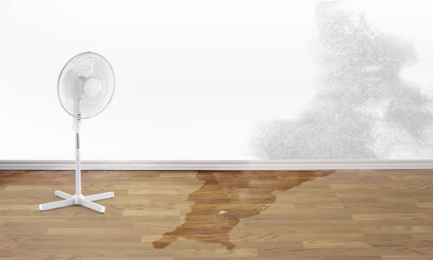 Best Basement water damage restoration  in Byram, MS