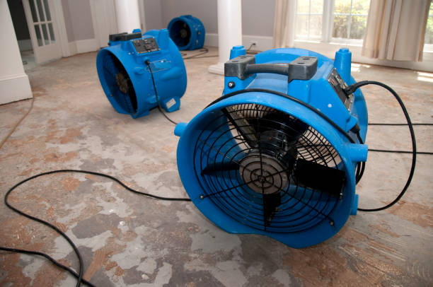 Best Professional water damage repair  in Byram, MS