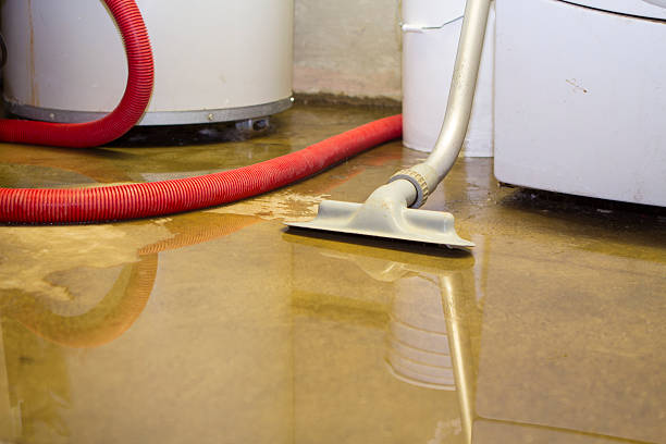 Best Flood restoration services  in Byram, MS