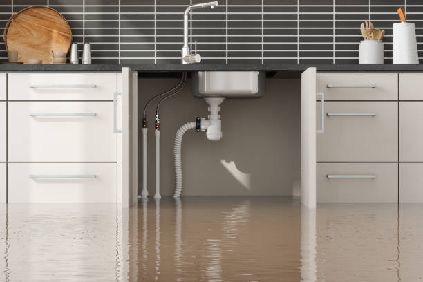 Best Residential water damage restoration  in Byram, MS
