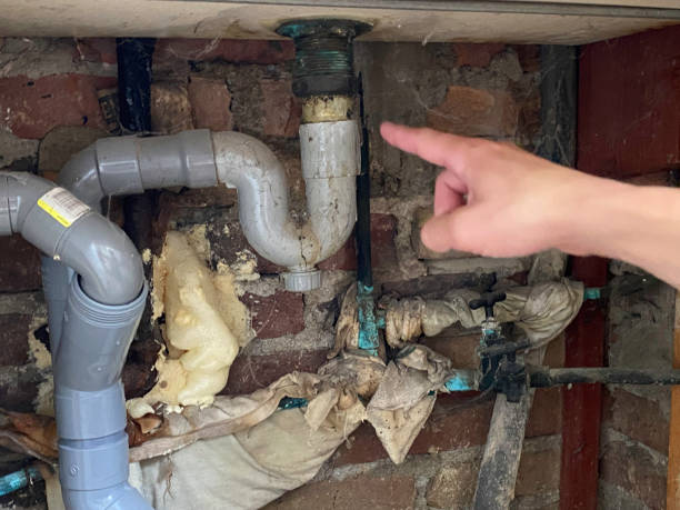Best Flooded house restoration  in Byram, MS