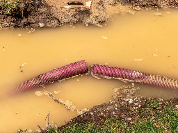 Local water damage restoration in MS