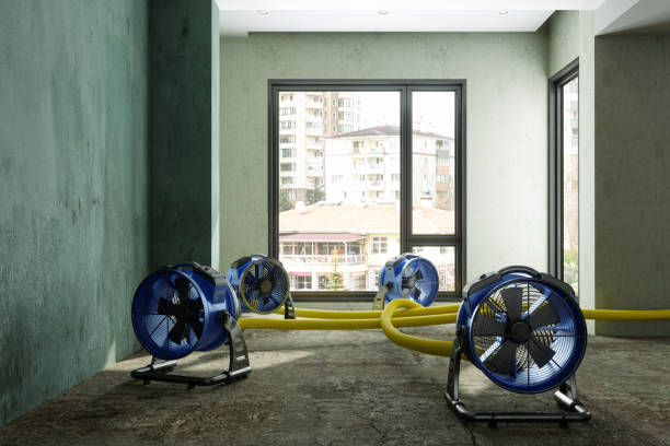 Best Carpet water damage restoration  in Byram, MS
