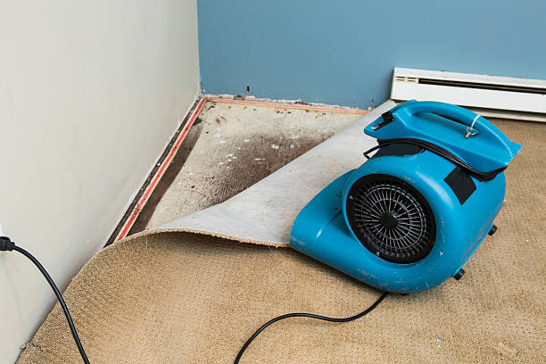 Best Water damage restoration near me  in Byram, MS